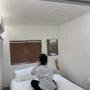펜션비우고채우는숲 | 단양펜션 추천 조용하고 뷰 좋은 샬롬펜션