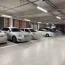 청정흑돼지 | 대전 봉명동 맛집 흑백삼겹살🐷 청정지역 흑돼지+60일 보리 먹인 최상급 백돼지 오겹살만 쓰는 봉명동...