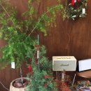 옥길목장 이미지