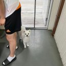 펜션 153 이미지