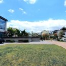 송&김약국 이미지