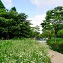 성불산자연휴양림 이미지