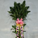 충무스크린골프존 이미지