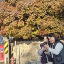 갑사한옥민박 이미지