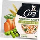 프로애견 이미지