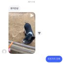 22번째 6월