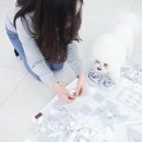 펫플래닛 이미지