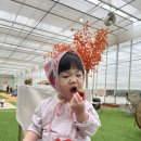 김태하 농장 이미지