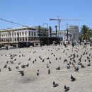 카사블랑카 이미지