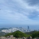 야마꼬치킨 | 부산 3대 명산 <해운대 장산> 정복 실패 &amp; 치맥 (feat. 야마꼬치킨)