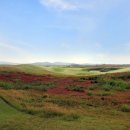 링스골프존 이미지