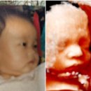상미안방 | [임신 28주~] 자영업자 카페 폐업 후 백수로 즐긴 임신 후기 / 손수건 빨래 / 아기방 꾸미기 (침대...