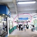 학장교 앞 교통섬 횡단보도 | 홍콩 여행 침사추이에서 빅토리아피크 가는 세 가지 방법 트램 vs 2층버스 vs 미니버스 뭐가 제일 좋을까?