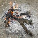 김정환농장 이미지