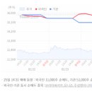 2022년 2월 25일 상한가 및 급등주, 시간외 특징주 이미지