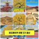 하나피드 | 여행 피드메이커 3기 선정 결산 후기 애드포스트 얼마?