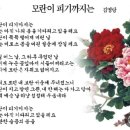 세계모란공원 | 강진사랑1(영랑생가,세계모란공원,다산초당,사의재)에 흔들리다~~♡