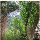 돌곶이역 이미지