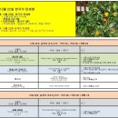 12월 22일. 한국의 탄생화와 부부 사랑 / 귤, 오렌지, 금감, 불수감 이미지