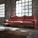 베이비독 이미지