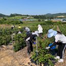 고창보건소 이미지