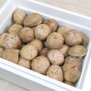 송화농장2 이미지