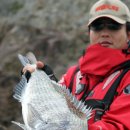 털보민박 이미지