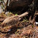 유람선길 이미지