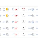 머스트 핏 이미지