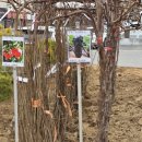 충무로20번길 이미지