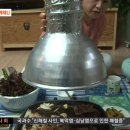 고기마니아 이미지