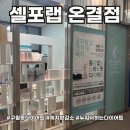 중화역샵공인중개사사무소 | 구월동 다이어트 쉽게 체지방 감량을 도와주는 셀포랩 온결점