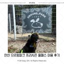 알피프리 | [안산/소중형견] 으르렁파크 프리시즌 올패스 이용후기(운동장,수영장,셀프목욕)