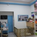 똥강아지 애견샵 이미지