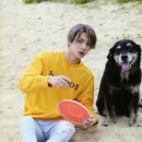 예쁜걸 이미지