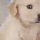 오피스팜 | 😍광주 슬랑이 성지 SM오피스 탐방 후기