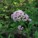 여흥목장 이미지