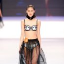 뉴페이스인터내셔널 Daum카페