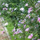 무궁화동산 화장실 이미지