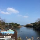 솜다리 | 제주 보름살이 숙소 솜다리 제주(2)