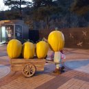 남성주(창원)주유소 이미지