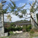 순천세계수석박물관 이미지