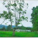 득량서초등학교 이미지