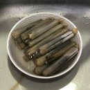 도성당구장 이미지