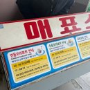 한강오리쌈나루 | 한강 오리배 가격 솔직후기 ㅣ자전거 보다 오리배 추천