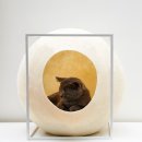 MILO GYM 이미지