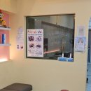 메리몰펫샵 이미지