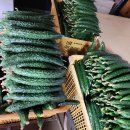 도경농장 이미지