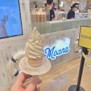모아나(moana) | 시티 디저트 맛집 추천: 고소함의 끝판왕 '키키모아나(Kiki Moana)' 피스타치오 아이스크림 내돈내산 후기
