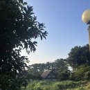 온동농장 이미지